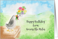 Birthday, Across Miles, Comical Bird, Flowers, Hills, Sky card