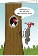 Knock Knock Joke Woodpecker Birthday Paper Card