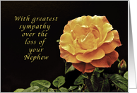 Sorry, for the Loss of Your Nephew, yellow orange rose card