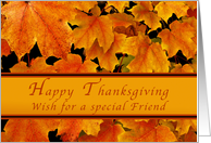 Happy Thanksgiving for Special Friend, Autumn Maple leaves card