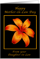 Happy Mother-in-Law Day from Your Daughter-in-Law, Orange Day Lily card