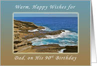 Happy 90th Birthday, Wishes for Father / Dad, Hanauma Bay, Hawaii card