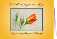 Recover quickly from Your Colonoscopy, Roses card