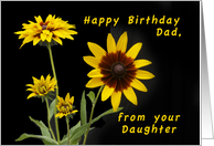 Happy Birthday Dad, From Your Daughter, Rudbeckia flowers card