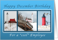 Happy December Birthday For an Employee, Lighthouses card