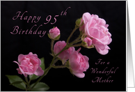 Happy 95th Birthday for Mother, Pink roses card