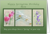 Happy Springtime Birthday for a Mom, Flower Collection card