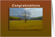 Congratulations Award and Recognition Tree standing alone card