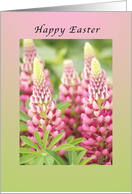 Happy Easter, Pink Lupine card