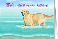Make a Splash on Your Birthday!--Golden Retriever at the Beach Card
