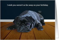 Black Pug--Far Away Birthday Wishes card