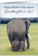 Mother and Baby Elephant--Mother’s Day for Future Granddaughter-in-Law card