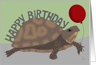 Turtle Holding Red Balloon - Happy Belated Birthday Card