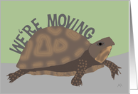 Turtle We’re Moving Announcement Card