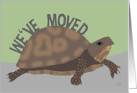 Turtle We’ve Moved Announcement Card