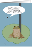 Fly Airing Grievances About a Frog Festivus card