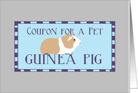 Birthday Coupon for a Pet Guinea Pig, Happy Birthday card