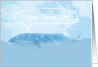 Happy Hump Day, Beautiful Humpback Whale card