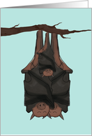 Adoption Announcement, Bats Hanging on Branch Together card