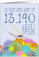 36th Birthday of Addiction Recovery, in Mayfly Years card
