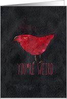 You’re Weird, I like you. Red Bird Friendship card