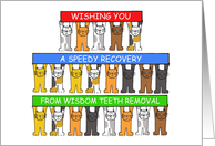 Speedy Recovery from Wisdom Teeth Removal Cartoon Cats card