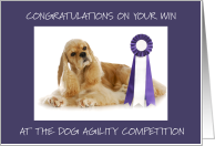 Congratulations Win at Dog Agility Competition card