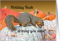 Holiday Rush Squirrel Encouragement Card