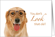 Dog Birthday - You don’t LOOK that old! card