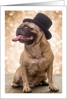 Happy New Years Party Invitation Handsome Pug in Top Hat card