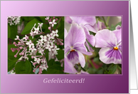 Purple Harmony Violets Lilacs Flowers - Gefeliciteerd Congratulations card
