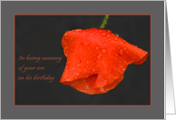 Poppy raindrops red grey - in remembrance of Son Birthday card