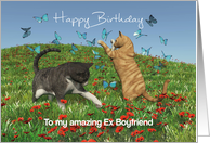 Cats playing with butterflies for Ex Boyfriend Birthday card
