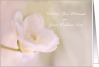 Floral Blessings on Your Wedding card