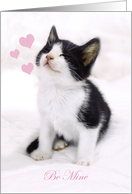 Valentine Kitty card