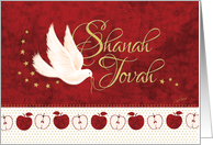 Rosh Hashanah, Shanah Tovah - Peace Dove and Apples on Red card