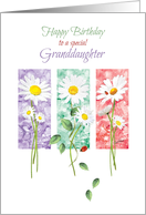 Birthday, Granddaughter, - 3 Long Stem Daisies on Color Panels card