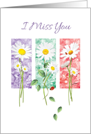 I miss You, Blank, - 3 Long Stem Daisies on Color Panels card