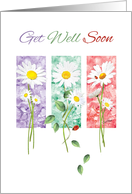 Get Well Soon - 3 Long Stem Daisies on Color Panels card