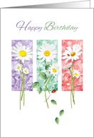 Happy Birthday, General - 3 Long Stem Daisies on Color Panels card