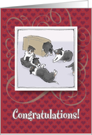 Congratulations on your new litter - puppies playing card