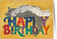 Fluffy Cat Lays on Happy Birthday card