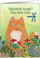 Garden Tabby Cat and Dragon Fly Birthday card