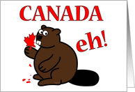 Canada Eh! beaver, maple leaf, Canada Day, funny card