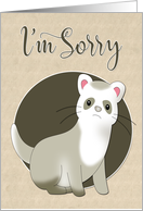 Cute Sad Ferret for Apology card