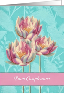 Happy Birthday in Italian, Buon Compleanno, Water Lilies, card