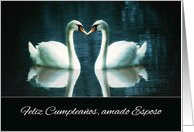 Happy Birthday to my dear Husband in Spanish, Two Swans card