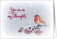 First Christmas after Bereavement, You are in my Thoughts, Religious card
