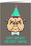 Happy Birthday, You Party Animal, Retro Bulldog with Hat, Humor card