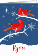 Rejoice, Christian Christmas Card, Cardinals, Luke 2:10 card